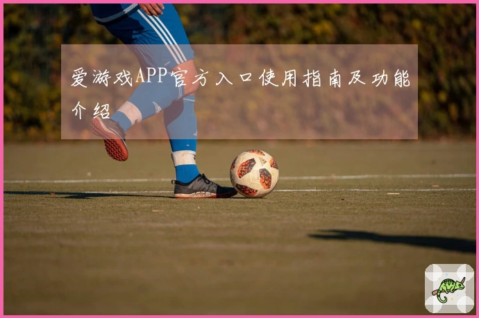 爱游戏APP官方入口使用指南及功能介绍