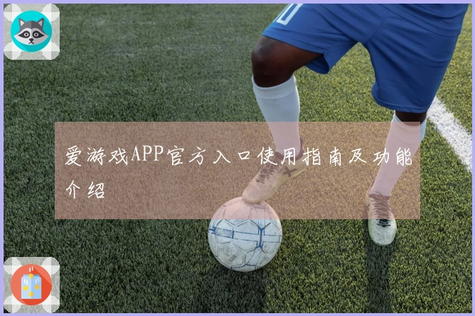 爱游戏APP官方入口使用指南及功能介绍